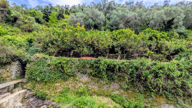 Photo des Cinque Terre