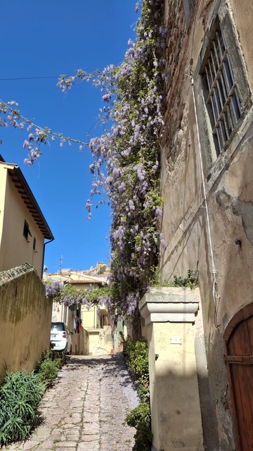 Photo de l'Île d'Elbe