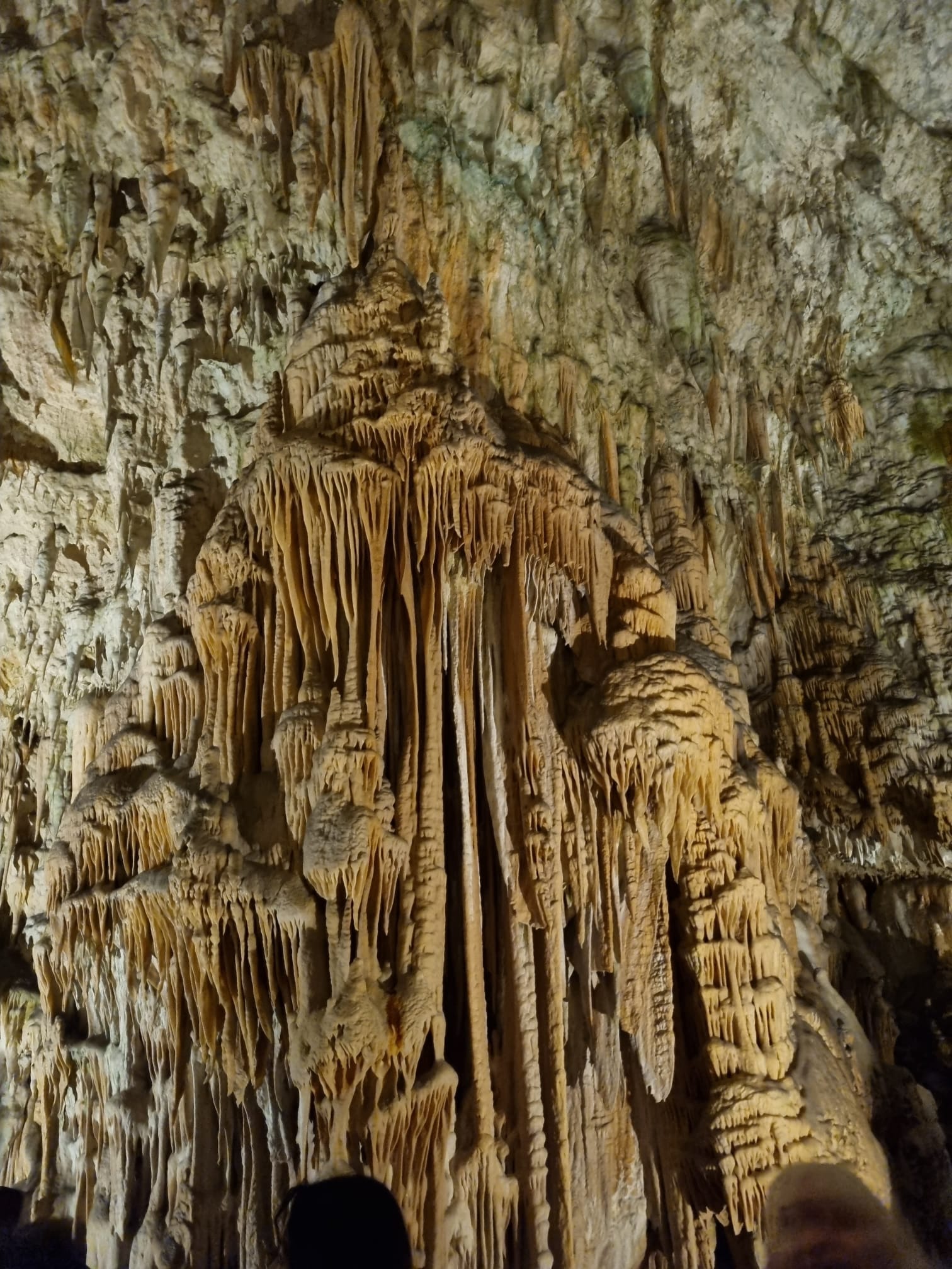 Photo de la Slovénie