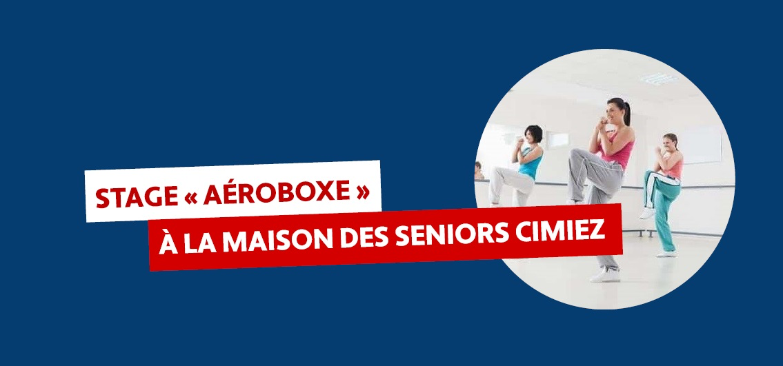 Affiche stage d'aéroboxe